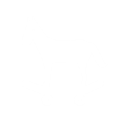 icon-incremental